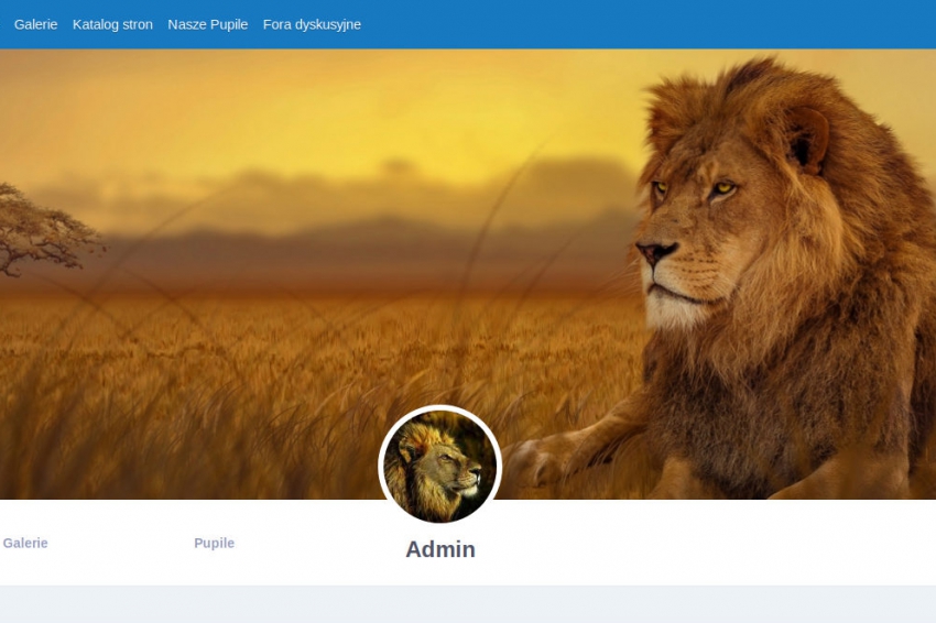Nowy profil użytkownika