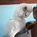 nowy użytkownik (154wt)