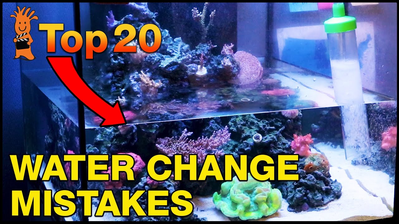 Water Change Mistakes to AVOID for an Awesome Reef Tank. No Really, Don't Do This!